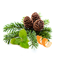 Load image into Gallery viewer, Night Sky Timeless Delight (.5 oz) Fragrance Oils (Signature)